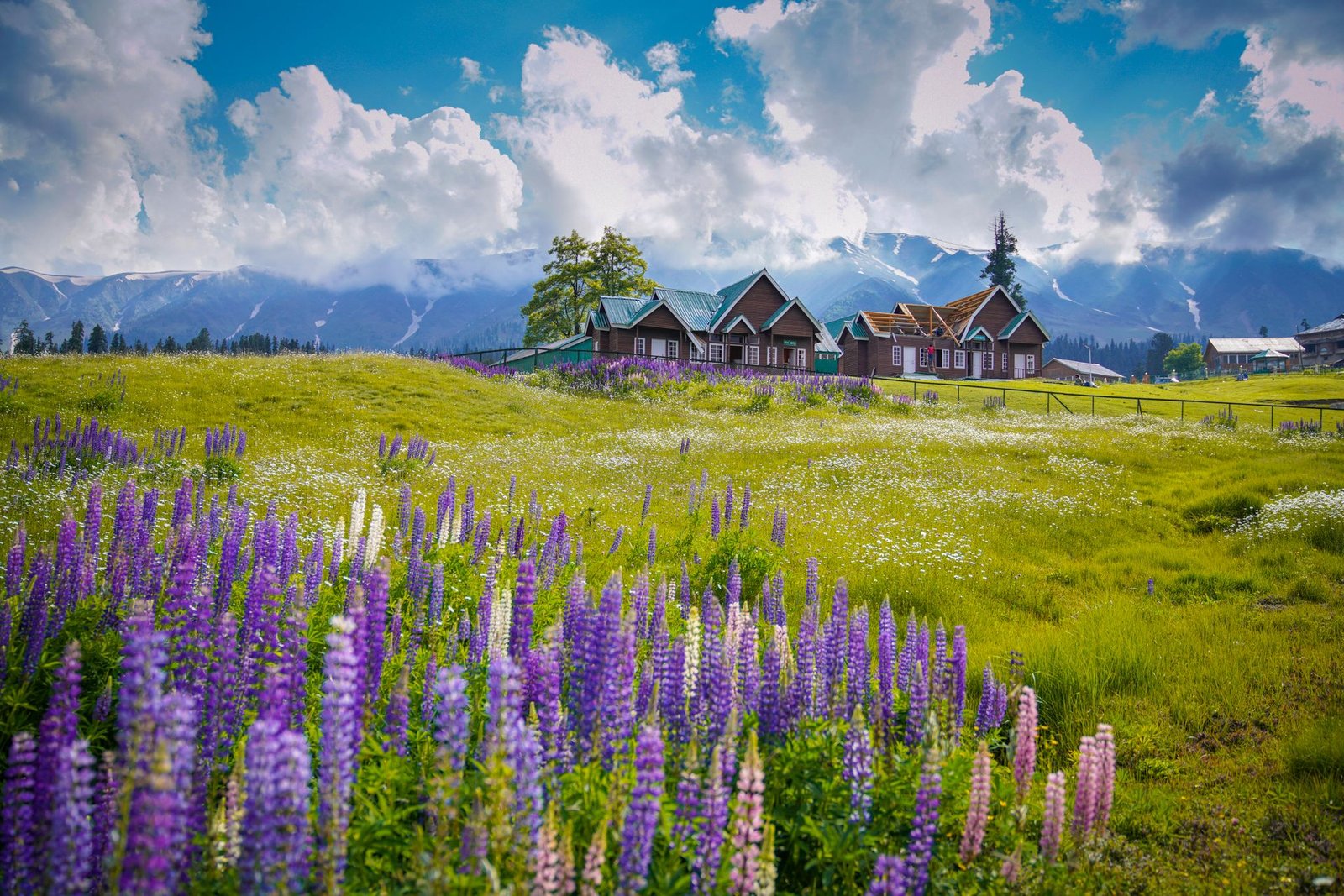Your Trusted Kashmir Travel Company for Hassle-Free Trips