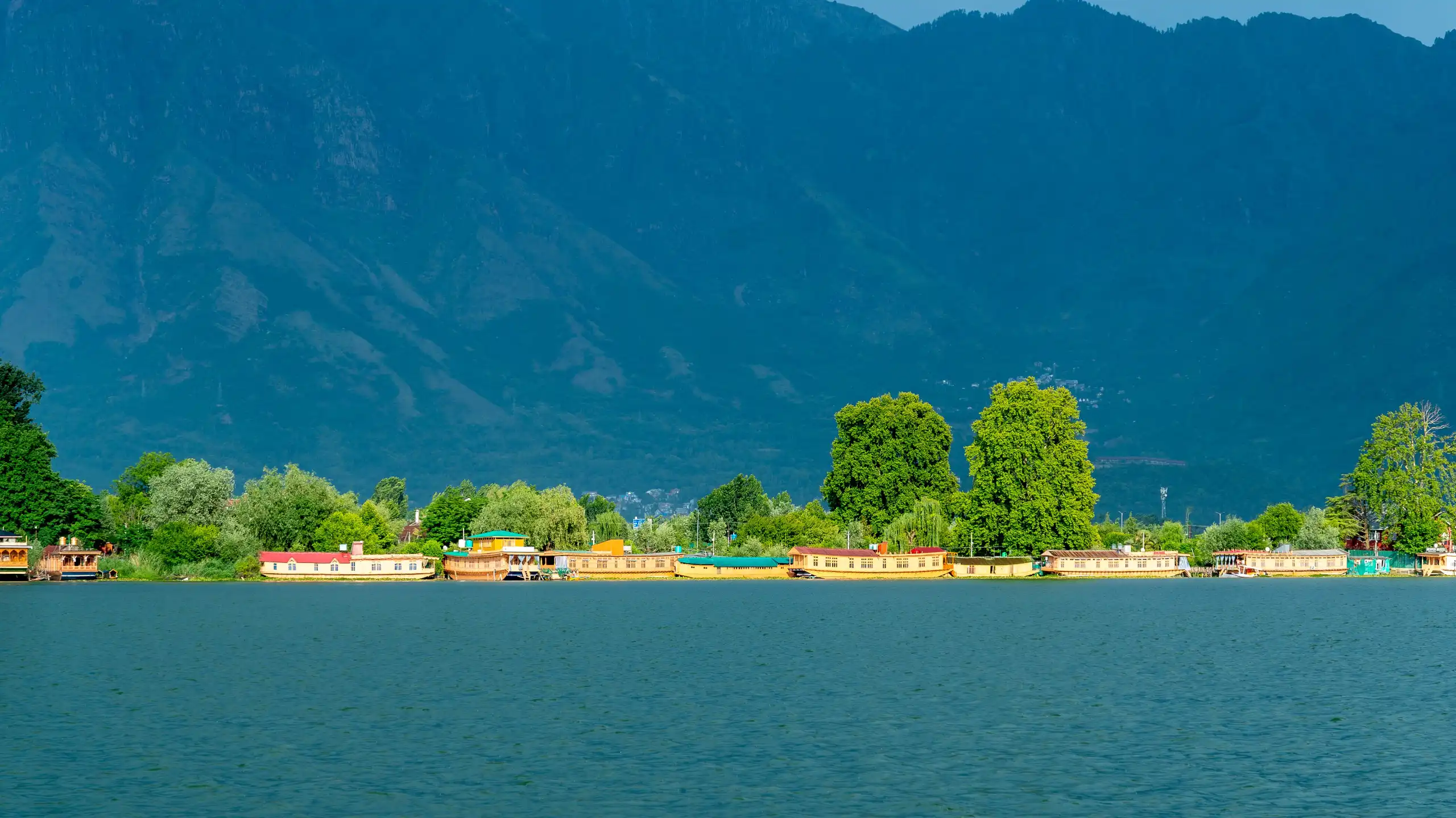 KASHMIR