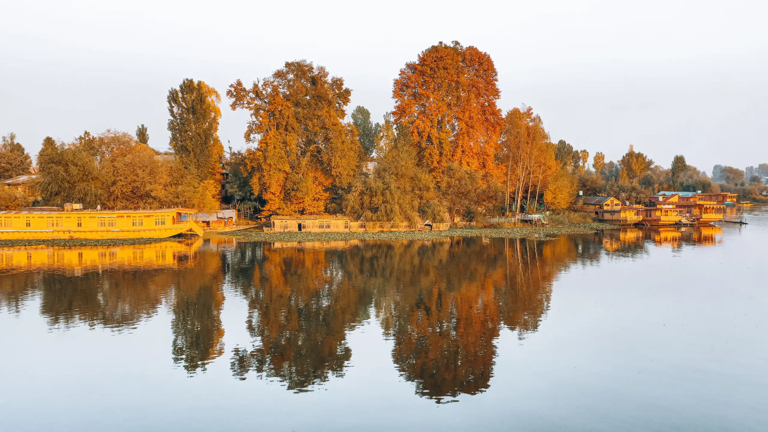 KASHMIR